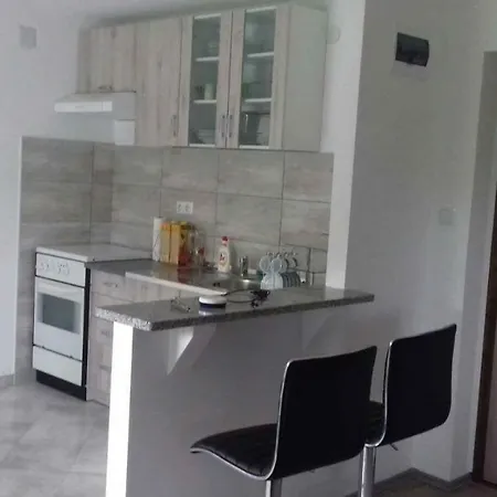 Studio Apartman Trdina Topusko Exterior photo